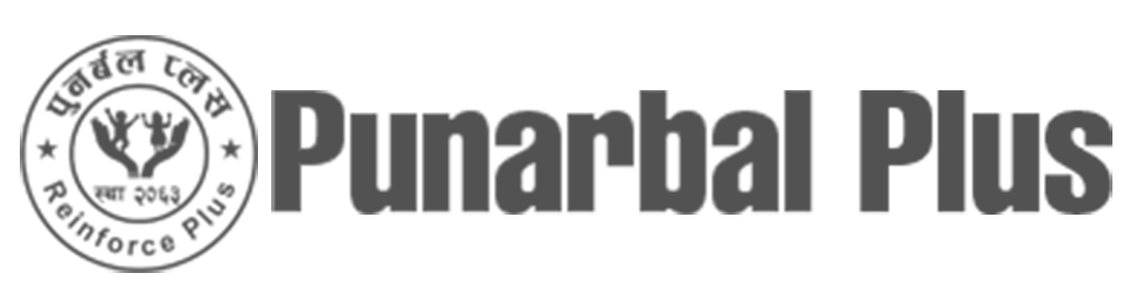 Logo de Punarbal Plus